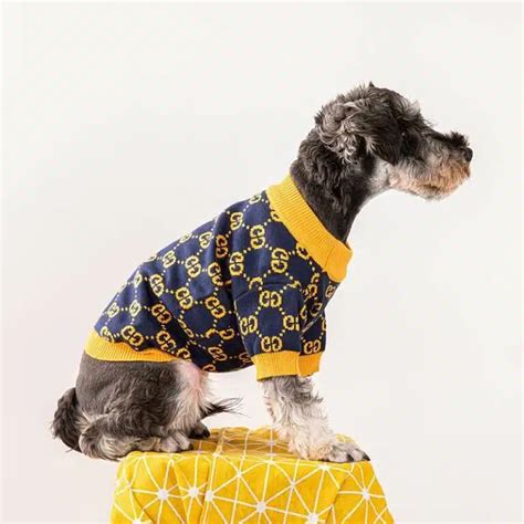 dog gucci shoes|designer dog clothes gucci.